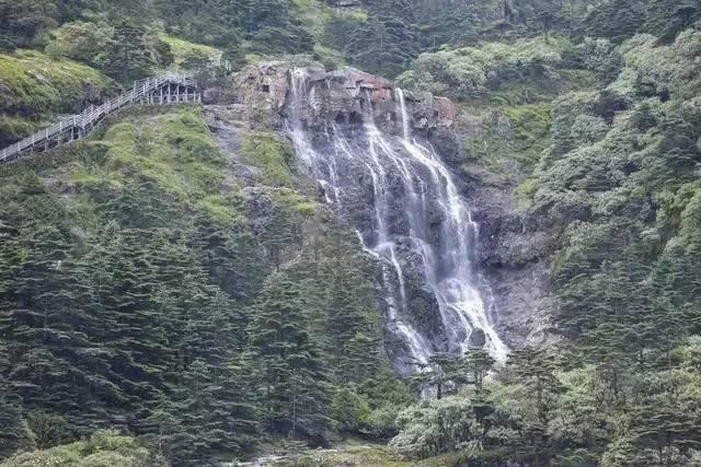 不朽星球